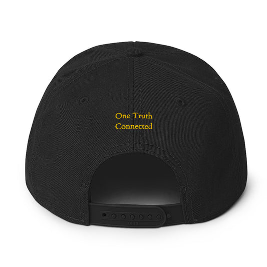 "Stay Connected" Snapback Hat