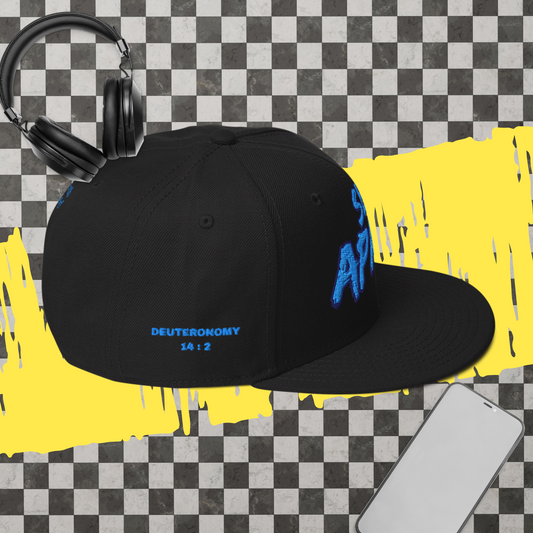 "Set Apart" Snapback Hat - Blue